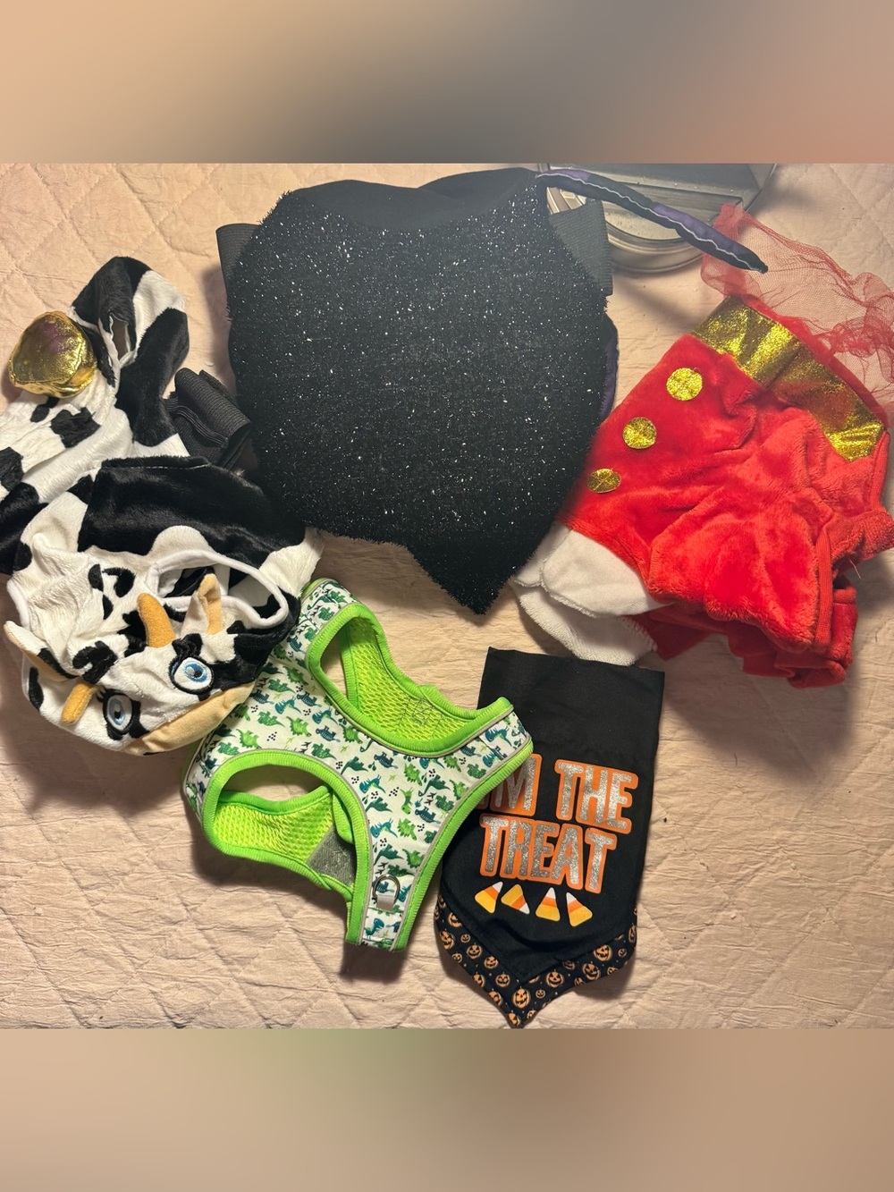Set of Halloween Costume’s, leash and bandana for small pet